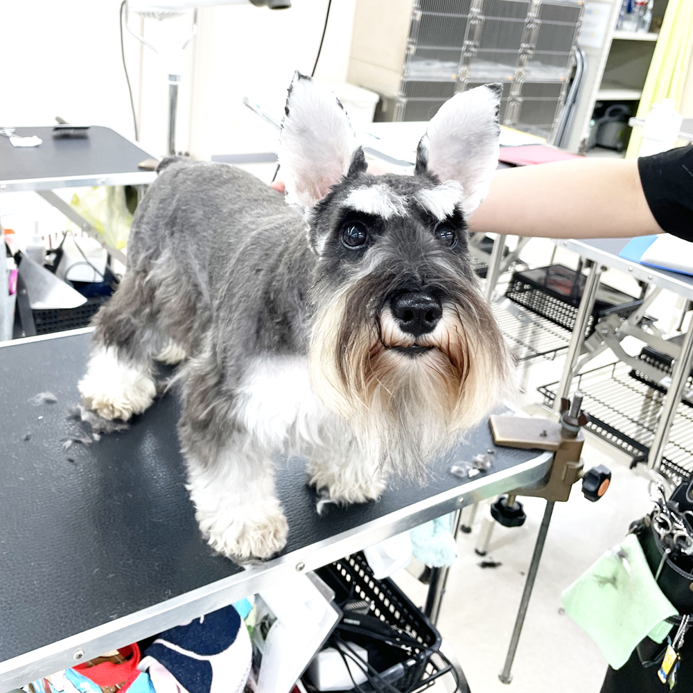 新学期もがんばりましょう♪